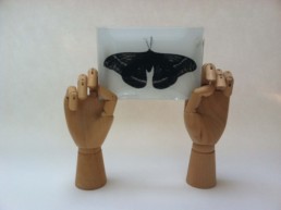 Redolent Glass Plate-0