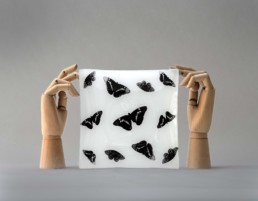 Revive Glass Plate-0