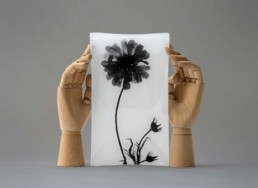 Redeem Glass Plate-0